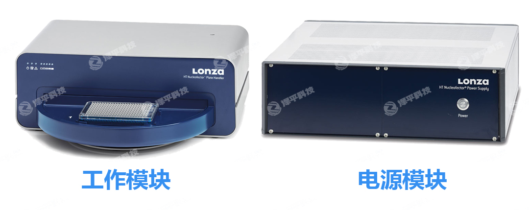 Lonza Nucleofector 384׸ͨD(zhun)Ⱦϵy(tng)ԴģKģK ƽ