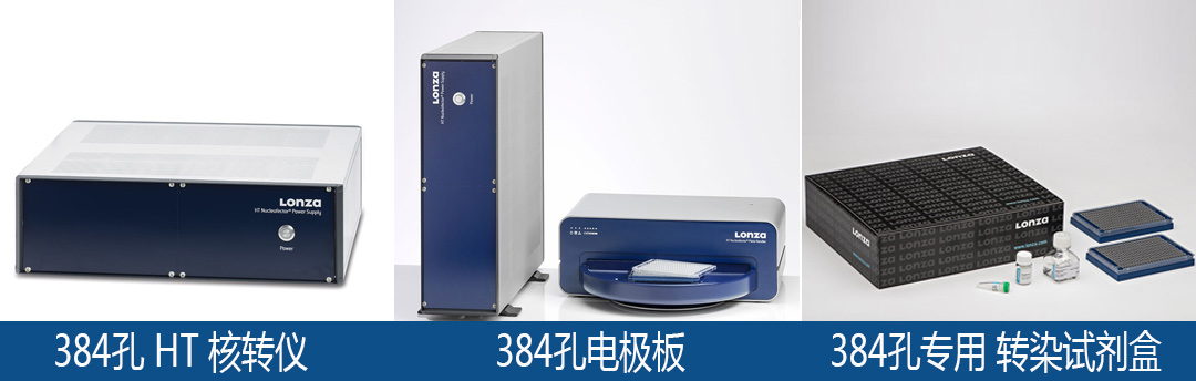 lonza Nucleofector 384孔模塊轉(zhuǎn)染試劑盒