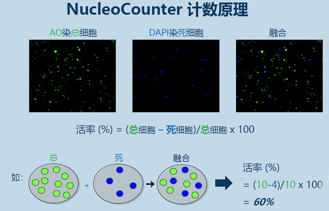 Chemometec NucleoCounterӋ(sh)x