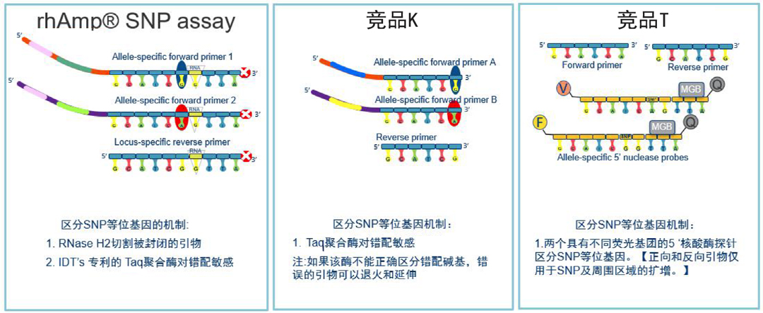 IDT rhAmp SNP基因分型系統(tǒng)優(yōu)勢