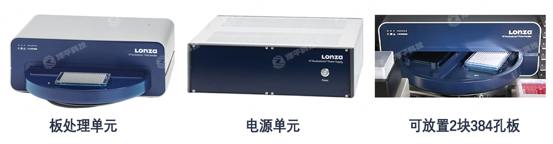 Lonza 384孔電轉(zhuǎn)儀 代理商北京澤平