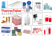 ِĬwThermo Fisher ҺĲ,(x)B(yng)ƿ,Һ^,ø(bio)